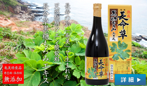 ��������������݃G�L�X